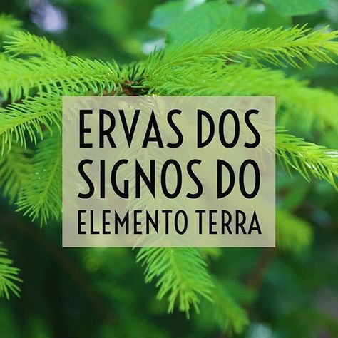 ERVAS PARA CADA SIGNO Elemento Terra, Magia Das Ervas, Beginner Crafts, Coron, Birthday Sign, Feng Shui, Light Box, Zen, Witch