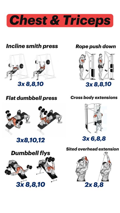 Chest Triceps Workout, Chest And Tricep Workout, Workout Gym Routine, Dumbbell Press, Gym Routine, Triceps Workout, Gym Workouts, Gym