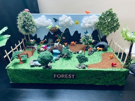 3d Forest Project, Forest Model Project, Forest Projects For Kids, Diorama Ideas For Kids School Projects, Forest Model School Project, Forest Ecosystem Project, Forest Crafts For Preschool, Jungle Diorama, Ecosystems Diorama