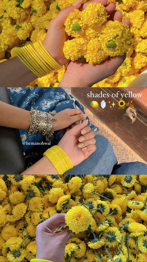 Yellow🍋💭🥛🪞✨ Desi Core Instagram Story, Yellow Photo Aesthetic, Yellow Desi Aesthetic, Desi Layout, Yellow Layout, Photo Inspiration Instagram, Indian Wedding Aesthetic, Wedding Collage, Aesthetic Collection