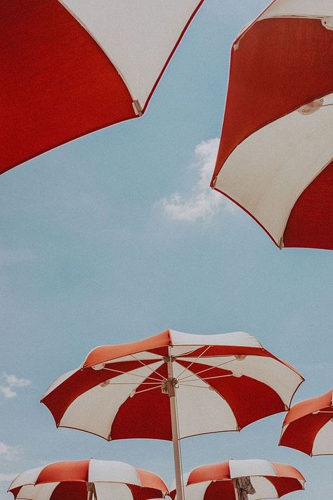 One piece pizza Collage Vintage, Tapeta Pro Iphone, Arte Inspo, Italian Art, Blue Skies, Sardinia, Vintage Summer, Photography Inspo, Summer Aesthetic