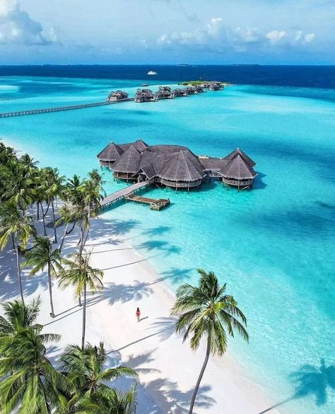 Travel | Nature | Vacation on Instagram: “❤Double Tap❤ if you wish you were here. . . Follow - @worlds_travel7 Follow - @worlds_travel7 📷:-@michutravel Note- I'm not owner this…” Maldives Wallpaper, Maldives Aesthetic, Best Countries To Visit, Maldives Island, Adventure Travel Explore, Maldives Travel, Places In The World, Travel Locations, Palawan