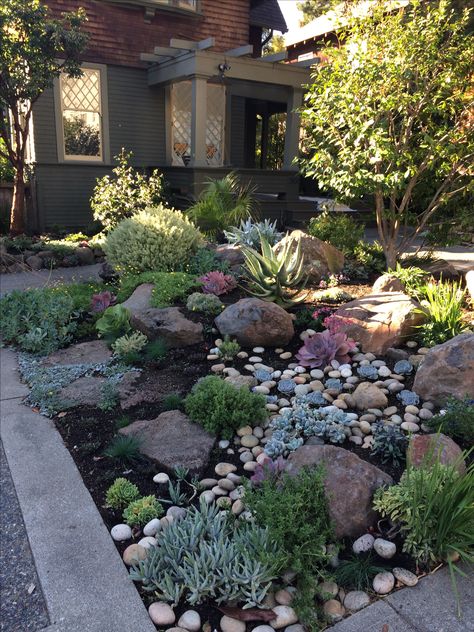 Xeriscape Front Yard, Succulent Landscape, Low Maintenance Front Yard, Taman Diy, Funny Vine, Garden Pathways, Summer Dreaming, Yard Landscaping Simple, Rock Garden Design