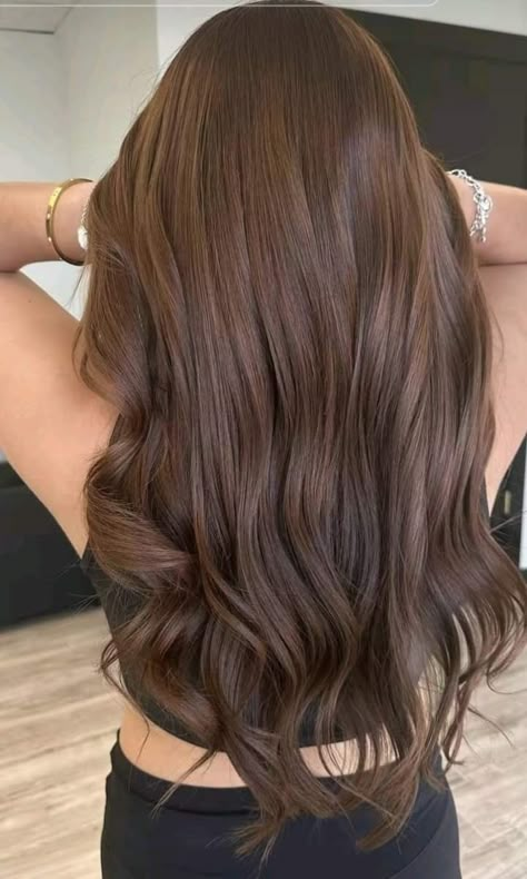 Brown Hair Color Shades, Warm Brown Hair, Natural Brown Hair, Cinnamon Hair, Wig Brown, Color Transition, Brown Hair Looks, Medium Brown Hair, Brown Hair Inspo