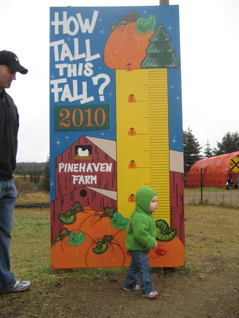 how tall this fall, sign How Tall This Fall Pumpkin Patch, How Tall This Fall Sign, Fall Fest Activities, Fall Festival Signs, Pumpkin Patch Business, Festival Signs, Pumpkin Patch Activities, Fall Photo Booth, Fall Festival Decorations