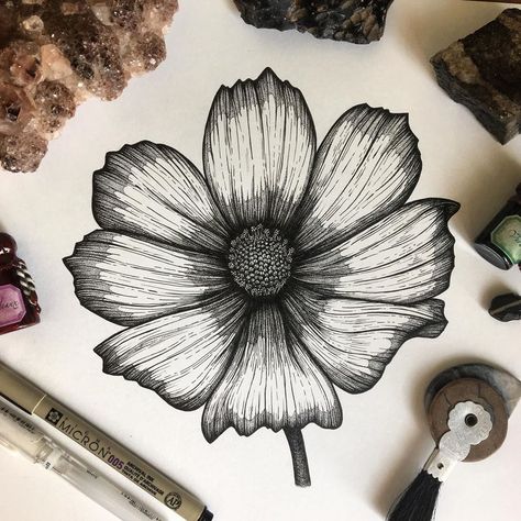 Cosmos Flower 🌸 I’ve always loved cosmos, and as it turns out, I love drawing them too! Chocolate Cosmos Flower Tattoo, Cosmos Sketch, Cosmo Flower Tattoo, Chocolate Cosmos Flower, Cosmos Tattoo, Bali Tattoo, Chocolate Cosmos, Drawing Help, Wood Burn Designs