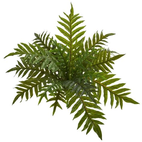 NEW Silk and Artificial Plants | Nearly Natural Fern Bush, Buku Harry Potter, Silk Floral Arrangements, Fern Plant, Silk Plants, Real Plants, Nearly Natural, Fake Plants, Faux Plants