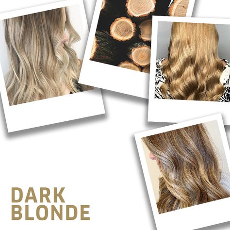 17 Dark Blonde Hair Ideas & Formulas | Wella Professionals Dark Blonde Hair Ideas, Hair Color Swatches, Hair Caramel, Warm Blonde Hair, Wella Hair Color, Beige Blond, Dark Blonde Hair Color, Blonde Hair Ideas, Brown Hair Shades