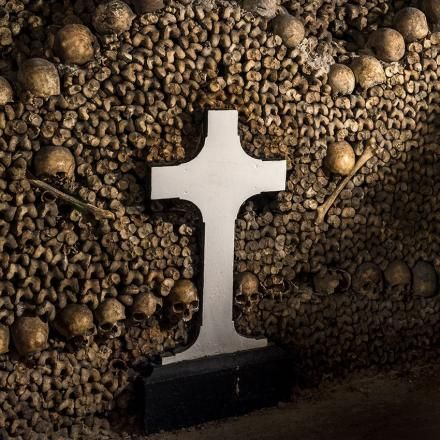 Must Do In Paris, Paris Catacombs, Musee Carnavalet, The Catacombs, Visit Paris, City Guide, Natural History, Tour Guide, The Public