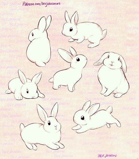 Bunny Anatomy Reference, Rabbit Poses Drawing, Standing Bunny Drawing, Rabbit Pose Reference, Bunny Anatomy Drawing, Sitting Bunny Drawing, Bunny Poses Drawing, Bunny Art Reference, Bunny Running Drawing