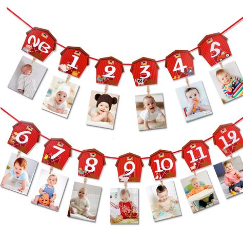 PRICES MAY VARY. Design for first birthday photo banner: printed with vivid farm animals and barnyard, display your baby's memorable moments with our barnyard themed photo banner, making your baby's first birthday memorable and personalized Durable materials: the farm birthday banner is made of good quality thick cardstock, it's durable for birthday party decorations Suitable size: this cute farm animal first birthday party banner measures 16 x 15 cm/ 6.3 x 5.9 inch, each can hold a 4 x 4 inch, 12 Month Photo Display, Barnyard First Birthday, Farm Animals Theme, Farm Themed Birthday Party, Birthday Photo Banner, 1st Birthday Party Decorations, First Birthday Party Decorations, Farm Birthday Party, First Birthday Themes