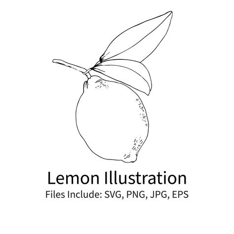 Lemon Line Tattoo, Drawing Lemons, Lemon Drawing Simple, Lemon Line Drawing, Tablecloth Embroidery, Lemon Illustration, Lemon Drawing, Lemon Boy, Cupid Tattoo