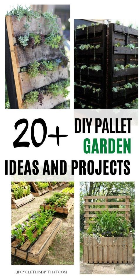 Diy Pallet Garden Ideas, Pallet Garden Ideas, Diy Pallet Garden, Tiny Yard, Flower Garden Images, Vertical Pallet Garden, Herb Garden Pallet, Pallet Projects Garden, Diy Wood Pallet Projects