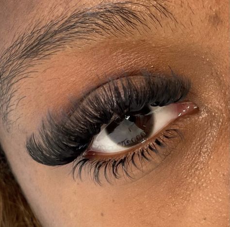 Hybrid Cateye Lash Extensions Map, Wispy Lash Set With Bottom Lashes, 12-16 Mm Lashes, Mega Volume Hybrid Lash Extensions, Lash Extensions Styles Bottom Lashes, Natural Set Lashes, Top And Bottom Lashes Extensions, Lash Extensions Styles With Bottoms, Hybrid Lash Extensions With Bottom Lashes