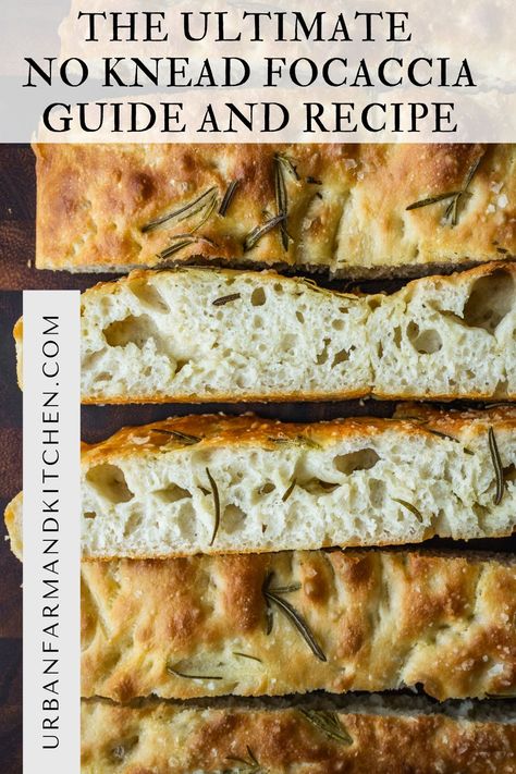 The Ultimate No Knead Focaccia Recipe (Base Recipe) No Knead Foccacia Bread, Best Foccacia Bread Recipes, No Knead Focaccia, Foccacia Bread, Homemade Baked Bread, Focaccia Bread Recipe, Focaccia Recipe, Breads & Buns, Savory Bread