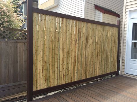 Backyard Bamboo, Bamboo Privacy Fence, Pagar Modern, Bamboo Garden Fences, Bamboo Diy, Bamboo Privacy, Wood Fence Design, Small Yards, Tropical Backyard