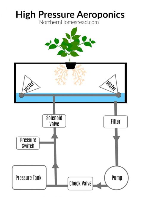 High Pressure Aeroponics Guide - Northern Homestead Aeroponics Diy, Aeroponic Gardening, Soil Nutrients, Aeroponic System, Agriculture Technology, Aquaponics Greenhouse, Backyard Aquaponics, Aquaponics Fish, Aquaponics Diy