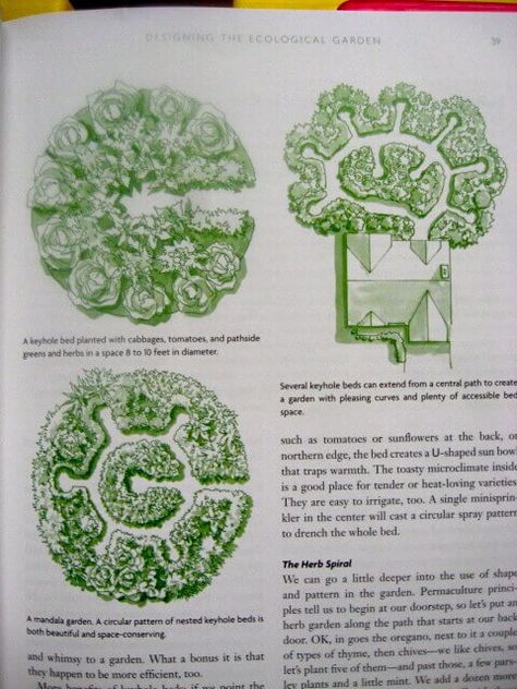 After I started reading Toby Hemenway’s book, Gaia’s Garden, I decided I had to have a mandala garden. A mandala garden is a form of keyhole garden, which you may be more familiar with.  For those of you completely new to the concept, let me explain. A keyhole garden is a round garden bed with … Mandala Garden Design, Mandala Garden, Keyhole Garden, Micro Garden, Vegetable Garden Planning, California Garden, Permaculture Gardening, Permaculture Design, Garden Design Plans