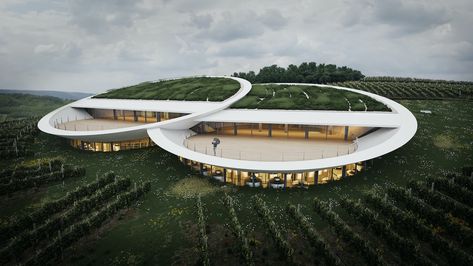 Wine House Architecture, Winery Architecture Design, Winery Landscape, Winery Building, Wine Yard, Hill Architecture, Winery Architecture, Wine Architecture, Extraordinary Architecture