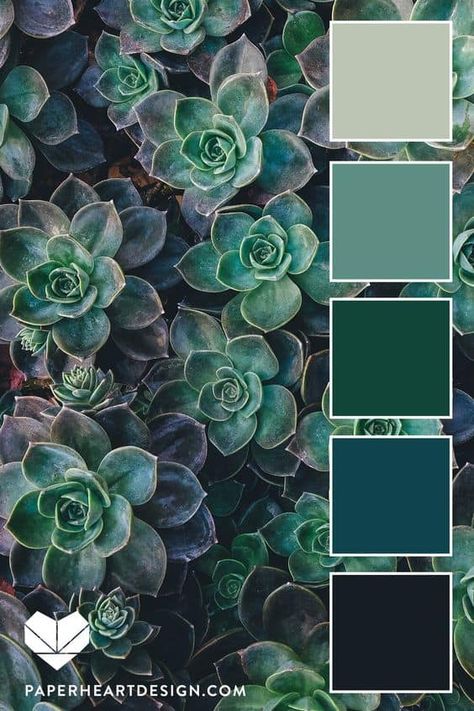 Emerald Green Color Palette – Why You Need It Now! Sage Green Nature, Emerald Palette, Palette Blue, Boho Styl, Green Color Schemes, Color Schemes Colour Palettes, Green Palette, Monochromatic Color Scheme, Eggplant Color