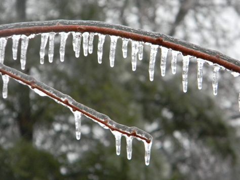 All about freezing rain | 1/20/17 The science of freezing rain. What causes the dangerous winter weather element that can paralyze cities Ice Rain, Freezing Rain, Ice Storm, Winter Storm, Snow And Ice, Winter Weather, Cold Air, The Science, Wikimedia Commons