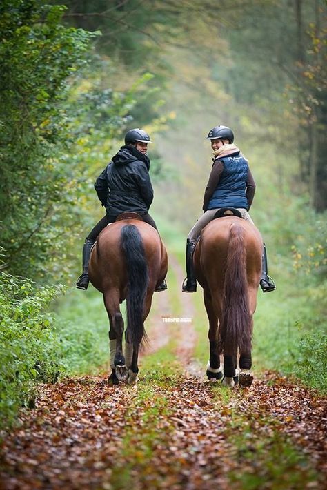 Balade Foto Cowgirl, Equestrian Helmet, English Riding, Horse Farm, Equestrian Lifestyle, Horse Blankets, Equestrian Life, Equine Photography, Horse Life