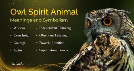 Owl Spirit Animal Meaning, Universal Signs, Animal Totem Spirit Guides, Owl Symbolism, Owl Magic, Small Wave Tattoo, Spirit Animal Meaning, Animal Meanings, Spirit Animal Totem