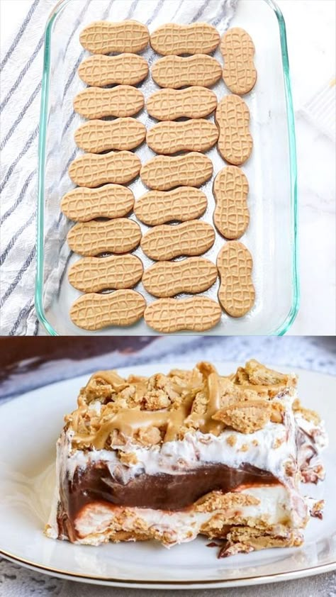 Nutter Butter Dessert Lasagna, Party Cup Desserts, Recipes With Nutter Butter Cookies, Nutty Butter Dessert, No Bake Nutter Butter Recipes, Nutter Butter Cake Recipe, Nutter Butter Fluff, Nutter Butter Recipes Desserts, Peanut Butter Crunch Lasagna