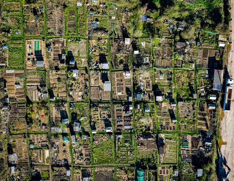 What is an Allotment in the UK? - I Heart Britain Dig For Victory, British Tv Series, Help The Poor, State Of Oregon, Land Use, South Yorkshire, Good Neighbor, Growing Fruit, Small Yard