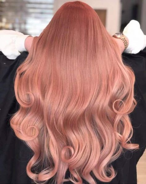 Dye Hair Color Ideas, Hair Colors Trending, Latest Hair Color Trends, Hair Colors For Fall, Light Red Hair, Platinum Hair Color, Warm Hair Color, Strawberry Blonde Hair Color, Latest Hair Color