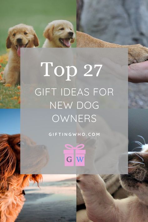 Getting a fur baby is one of the best feelings ever, take it from me, I just got one! Maybe your best friend just got a new puppy, or your brother adopted an older rescue dog. Of course you want to visit – with a gift! We’ve come up with a list of gifts for new dog owners that they (and their pups) will love. Trust me, I am speaking from experience! So here you have 27 pawsome gifts for new dog owners! #giftideas #giftguide Diy Gifts For Dog Lovers, Dog Umbrella, Best Dog Gifts, The Best Feelings, Best Feelings, Dog Smells, Dog Presents, Dog Diet, Dog Selfie