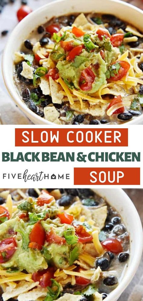 Black Bean Soup Crock Pot, Chicken Black Bean Soup, Bean And Chicken Soup, Crock Pot Dinner, Chicken Black Bean, Beans In Crockpot, Slow Cooker Beans, Slow Cooker Black Beans, Healthy Party Food