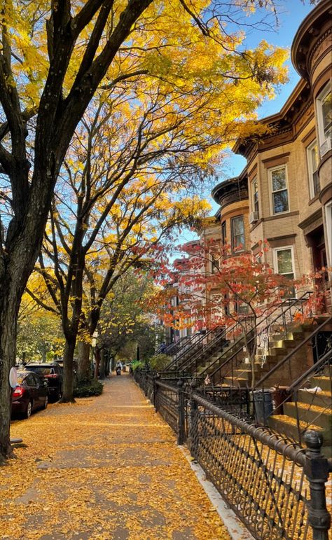 Nyc September Aesthetic, Nyc Fall Aesthetic, New York In Fall, Nyc Night Aesthetic, Neighborhood Aesthetic, Fall Town, Nyc Life Aesthetic, Nyc Autumn, New York Autumn