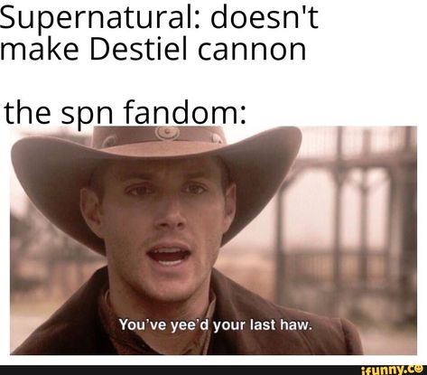 upernatural: doesn't make Destlel cannon thespn fanom: You've yee‘d your last haw. – popular memes on the site iFunny.co #jensenackles #celebrities #supernatural #jensenackles #spn #j2 #squirrel #deanwinchester #doesnt #make #destlel #cannon #thespn #youve #yeed #last #haw #pic Clean Memes, Memes Br, School Memes, Memes Humor, Hair Humor, Vacation Ideas, Tumblr Funny, Firefly, Popular Memes