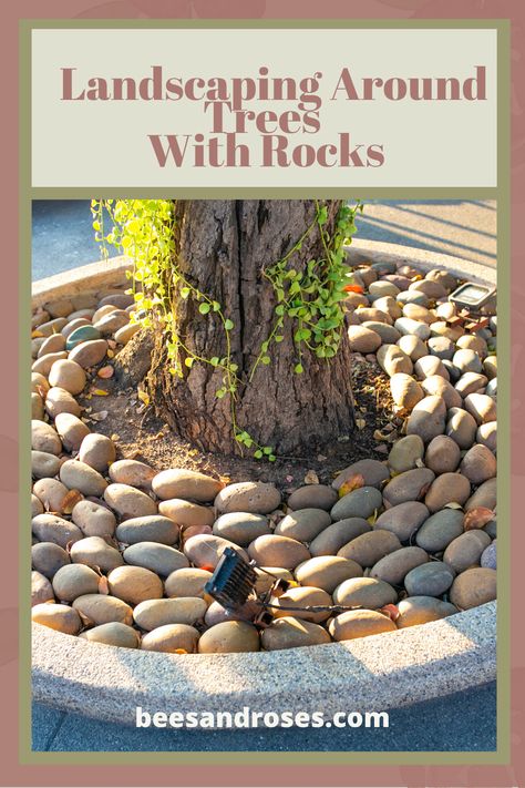 Landscaping Around Trees With Rocks, Landscape Around Trees, Fall Planting Perennials, Easy Front Yard Landscaping Ideas, Perennial Bushes, Mulch Around Trees, Front Yards Diy, Yard Walkway, Landscaping Shrubs