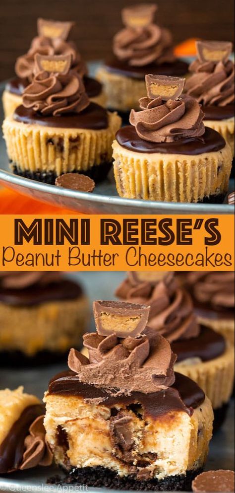 Reese's Peanut Butter Cheesecake, Cupcake Cheesecake, Reeses Cheesecake, Peanut Butter Cheesecake Recipes, Mini Cheesecake Recipes, Cheesecake Chocolate, Peanut Butter Cheesecake, Peanut Butter Desserts, Cheesecake Bites