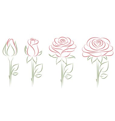 Blooming roses vector Hur Man Ritar Blommor, Roses Vector, How To Draw Flowers, Draw Flowers, Drawing Lesson, Rose Drawing, Roses Drawing, Vector Flowers, Plant Drawing