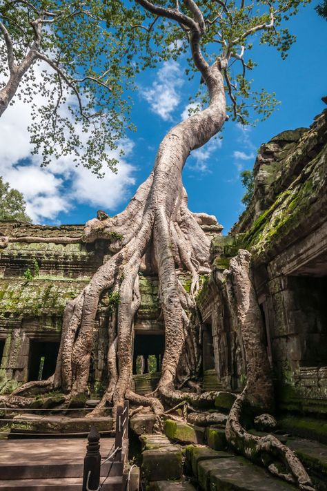 Traveling Cambodia soon? Here is the ultimate Cambodia Bucketlist for those planning to visit the country. From Siem Reap to Phnom Penh and all the lesser known hidden gems, this guide will inspire you to really explore the Cambodian Country. Angkor Wat Cambodia | Siem Reap Cambodia | Phnom Penh Cambodia | Traveling Cambodia Cambodia Siem Reap, Cambodia Phnom Penh, Cambodia Beaches, 3 Aesthetic, Travel Tricks, Vietnam Backpacking, Angkor Wat Cambodia, Backpacking South America, Phnom Penh Cambodia