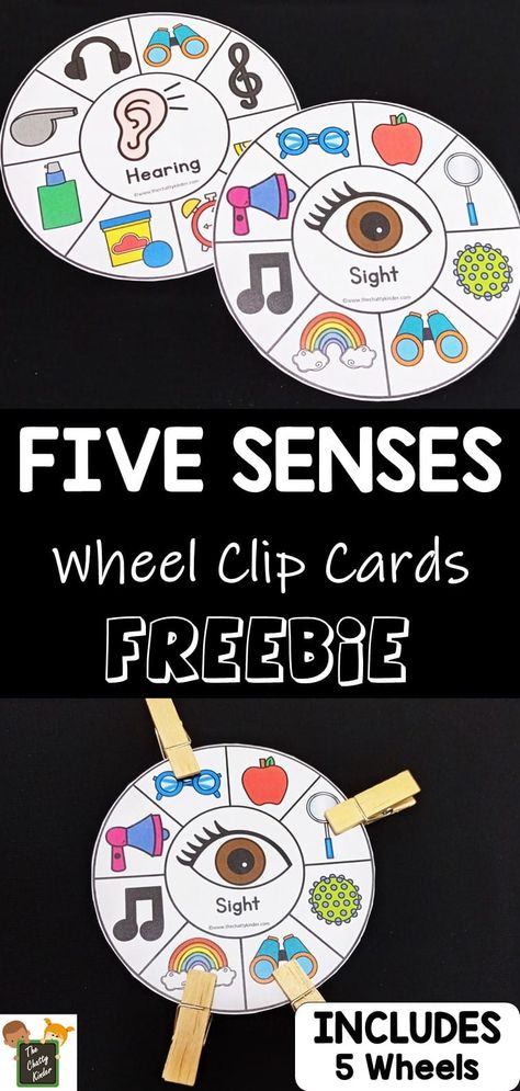 Five Senses Clip Cards - The Chatty Kinder Five Senses Centers Kindergarten, Five Senses Fine Motor Activities, Teaching Five Senses To Preschoolers, 5 Senses Centers Kindergarten, 5 Senses Centers Preschool, 5 Senses Literacy Activities Preschool, Five Senses Sensory Bin, 5 Senses Crafts Preschool Free Printable, 5 Senses Kindergarten Activities