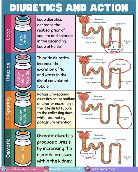 Medications Nursing, Nursing School Studying Cheat Sheets, Medical Assistant Student, Paramedic School, Nursing School Essential, Nursing School Motivation, Medical School Life, Nurse Study Notes, Nursing Mnemonics