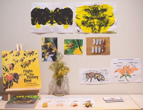 A child-led project: Honey bees | Happiness is here Bee Inquiry, Preschool Bees, Insects Preschool, Bee Activities, Reggio Inspired Classrooms, Dramatic Play Preschool, Led Projects, Reggio Inspired, Bee Inspired