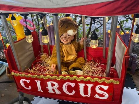 Halloween Circus Costume #familycostume #halloween #toddlercostume #circuscostume Wagon Halloween Costumes, Halloween Zoo, Circus Halloween Costumes, Circus Wagon, Circus Ringmaster, Circus Animal Cookie, Halloween Circus, Family Circus, Circus Costume