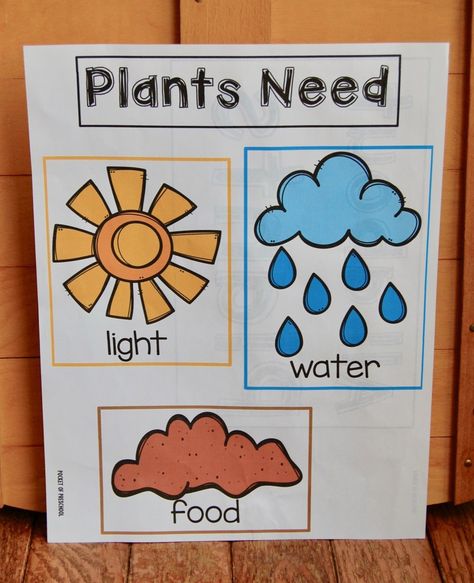 Spring Has Sprung: Learning All About Plants - Preschooligans.com % Spring And Gardening Preschool, Botany For Preschoolers, Planting Lesson Plans For Preschool, Toddler Planting Activities, Plants Toddler Activities, Spring Ideas For Kindergarten, Spring Theme Kindergarten, Preschool Planting Seeds, Garden Theme Toddler Activities