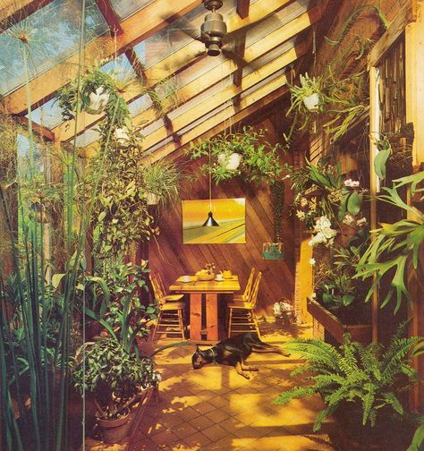 My 80s conservatory is better than yours! . @the_80s_interior Plant Vibes, 1980s Interior, 80s Interior Design, 80s House, 80s Home, 80s Interior, 70s House, 80s Decor, 70s Home Decor