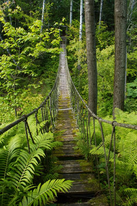 hanging rope bridge at Les Quatres Vents, Quebec, Canada Emotional Burnout, Nature Bridge, Hanging Bridge, Old Bridges, Rope Bridge, Benefits Of Gardening, Path Ideas, Natural Bridge, Garden Tours