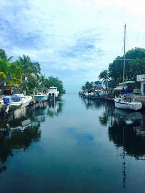 Backyard view from house in Florida Keys Florida Canal Backyard, Florida Keys House, Florida Keys Aesthetic, Mermaid Book, House In Florida, Backyard View, Miami Aesthetic, Key Largo Florida, Mermaid Books