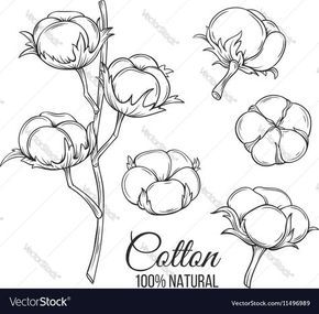 Ideas For Flowers, Farmhouse Paintings, Wreath Drawing, Flowers Vector, Illustration Noel, Acrylic Painting Lessons, Cotton Plant, Baby Koala, Cotton Flower