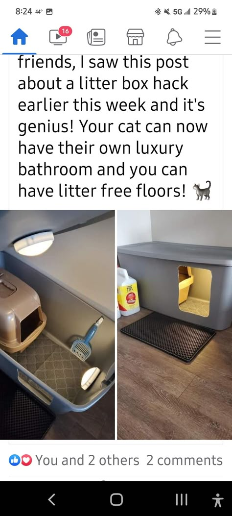 How To Hide Multiple Litter Boxes, Cute Cat Area Ideas, Cat Proof Home Decor, Kitten Corner Ideas, Garage Cat Area, Dorm Cat Setup, Cats In Dorm Rooms, Kitten Litter Box Ideas, Cat Apartment Ideas Diy