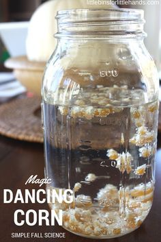 Dancing Corn Thanksgiving Science Activity for Fall Popcorn Science, Dancing Corn, Thanksgiving Science, Thanksgiving Stem Activities, Corn Thanksgiving, Thanksgiving Stem, Chemistry Activities, Fall Science, Science For Toddlers