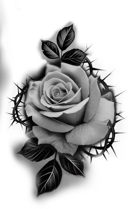 Rose Tattoo With Name, Rose Tattoo Stencil, Realistic Rose Tattoo, Skull Rose Tattoos, Pink Rose Tattoos, Tato Jari, Rose Flower Tattoos, Rose Drawing Tattoo, Bauch Tattoos